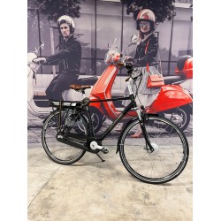 Multicycle Spirit E-bike